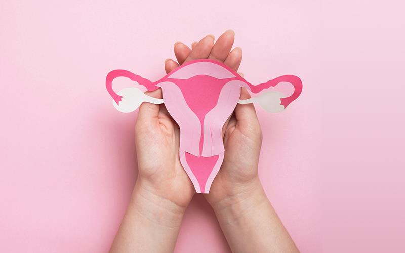 Placement of two etonogestrel implants instead of one appears to suppress ovulation and increase plasma etonogestrel exposure