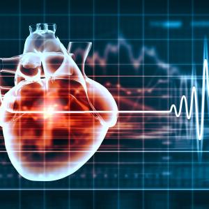 Most risk factors for premature MI modifiable