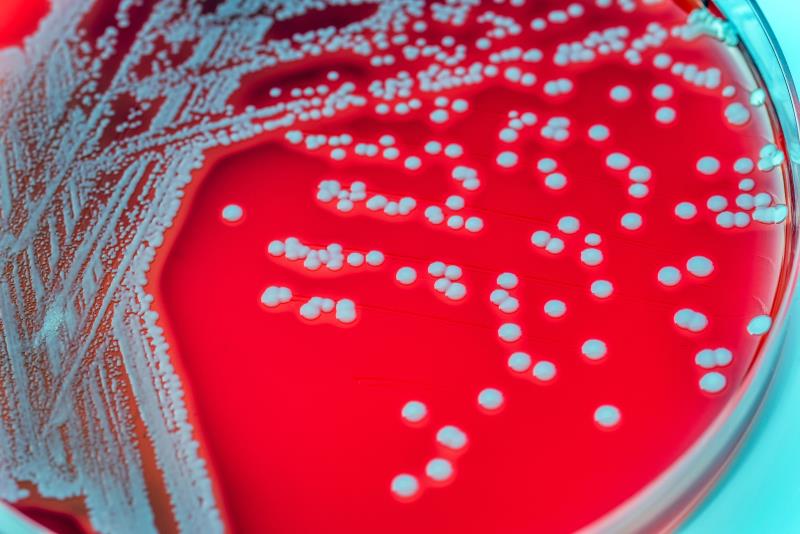 Early oral antibiotic switch a good alternative to prolonged IV treatment in gram-negative bacteraemia