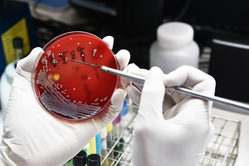 The number of community-associated methicillin-resistant Staphylococcus aureus (CA-MRSA) cases has increased five-fold since