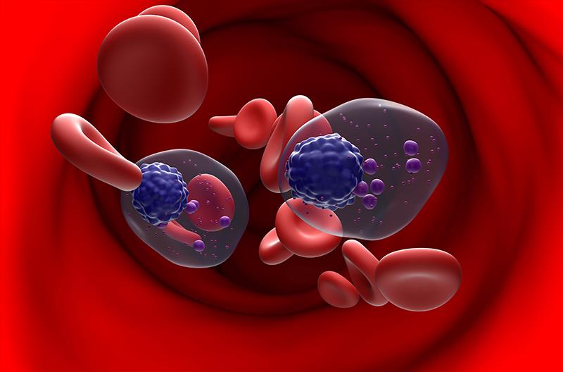 In patients with relapsed/refractory <a href="https://www.mims.com/specialty/multiple%20myeloma/treatment" tabindex="-1">mult