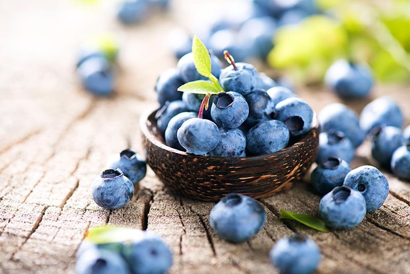Blueberries induce calmness but not better cognition, sleep quality in MetS patients