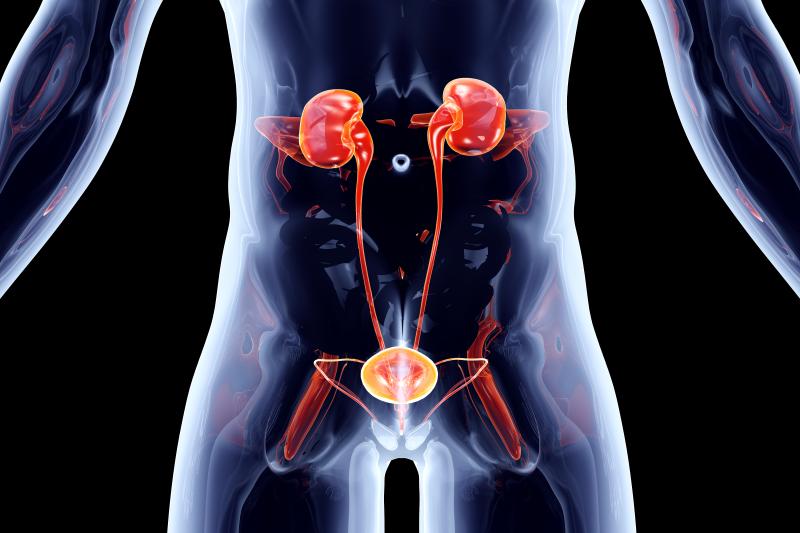 Immunotherapy with MV-140 (Uromune) successfully prevents <a href="https://specialty.mims.com/urinary%20tract%20infection%20-