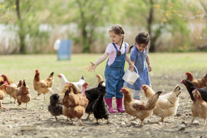 Growing up on a farm appears to confer a reduced risk of developing <a href="https://specialty.mims.com/rhinitis%20-%20allerg