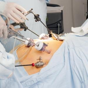 Prebiotics may improve calcium absorption in postmenopausal women after gastric bypass