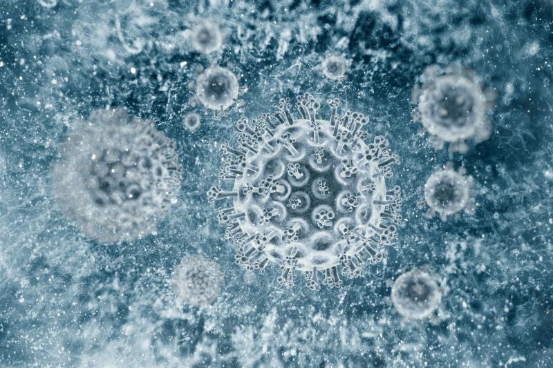 Inflammation strongly signals CV events in treated female vs male HIV patients