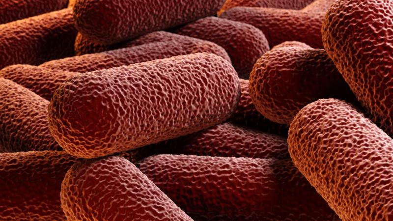 Glucocorticoid discontinuation may prevent infection in older RA patients