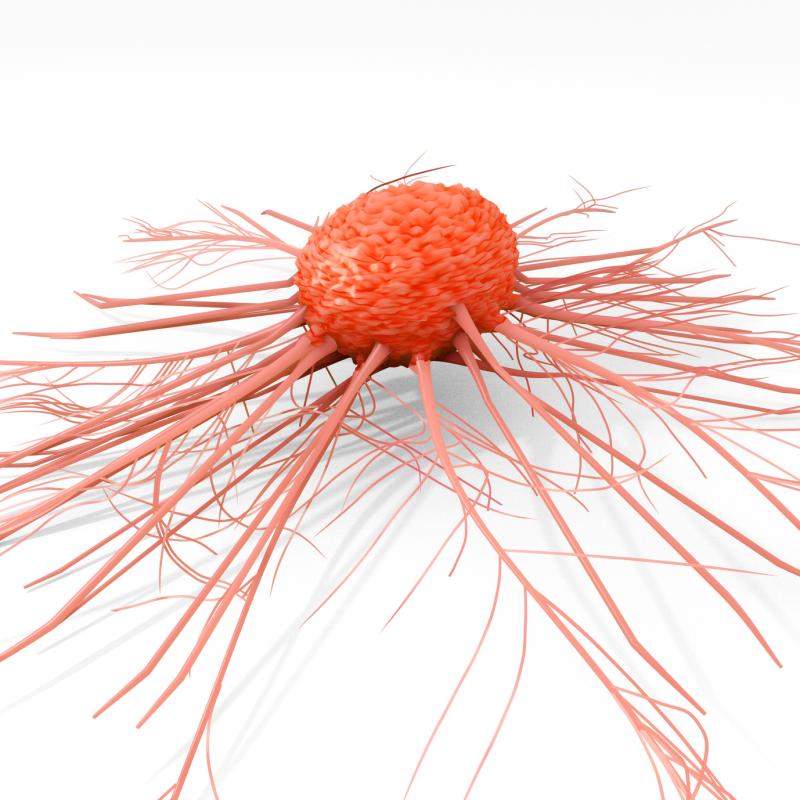 Olverembatinib shows therapeutic potential in chronic-phase CML