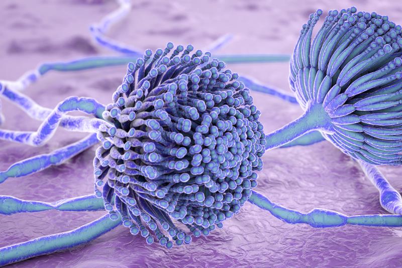 <p>Patients with <a href="https://specialty.mims.com/coronavirus%20disease%202019%20(covid-19)/treatment" tabindex="-1">COVID