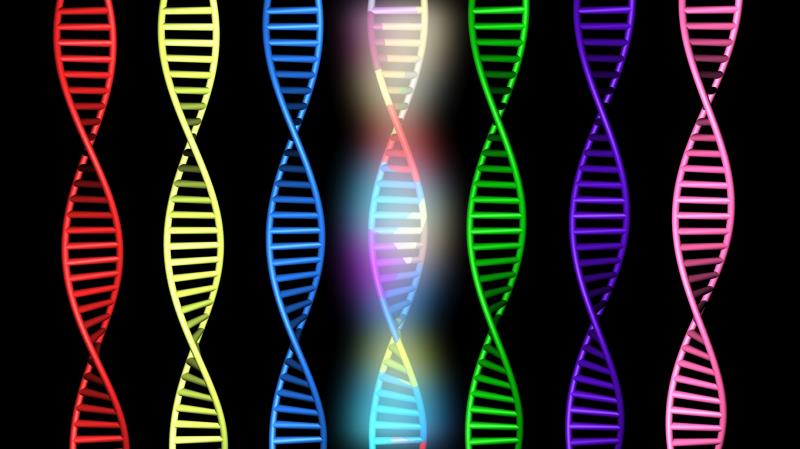 AMY1 mutations up type 2 diabetes risk in women with high-carb diets