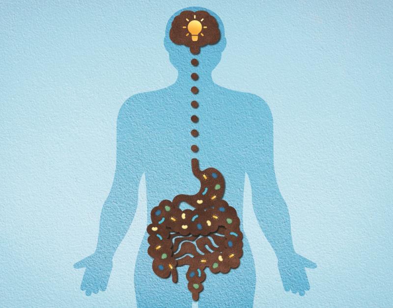 <p style="text-align: justify;"><span>Probiotics may be efficacious either as an adjunct to antidepressants or as a standalon