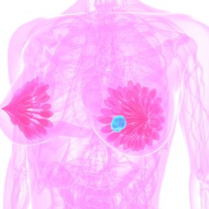 Pyrotinib shows therapeutic potential for brain metastasis