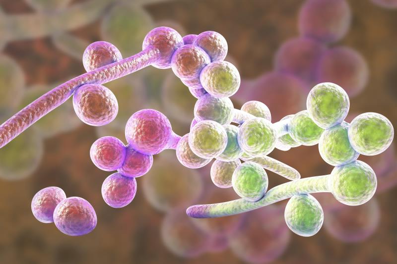 <p>Patients who are refractory or intolerant to currently approved antifungal therapies exhibited a positive response to the 