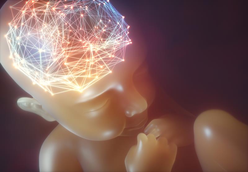 Infertility treatments tied to developmental delays at age 2 years