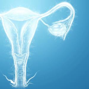 Infertile women may benefit from oil-based contrast during HSG