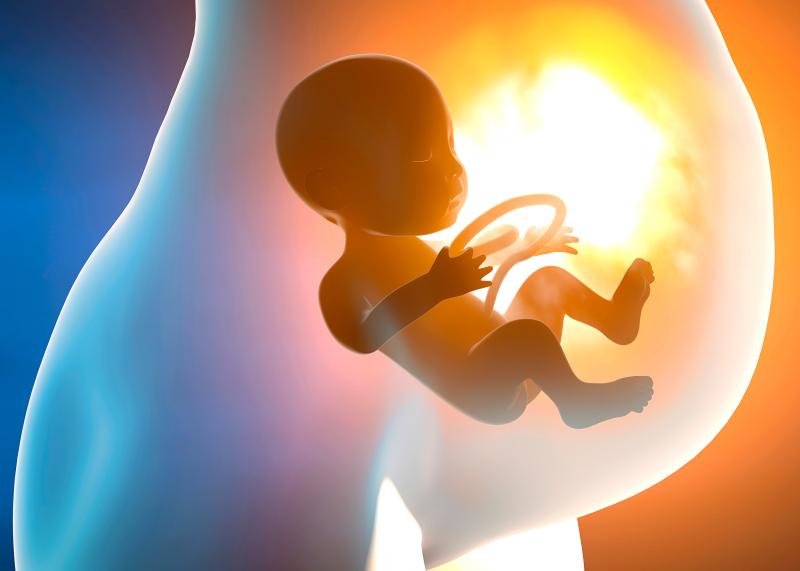 Contraction of Zika virus infection during pregnancy may put the offspring at risk of neurodevelopmental delay in early child