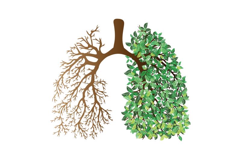 Step-down therapy may be the better strategy for certain COPD patients