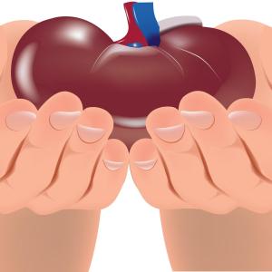 Graft, patient survival lower after liver transplantation in sarcoidosis