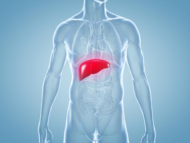Rifaximin for hepatic encephalopathy may improve liver transplant waitlist outcomes