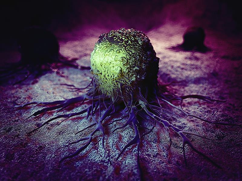 MIRV treatment effects sustained in PROC despite dose modifications