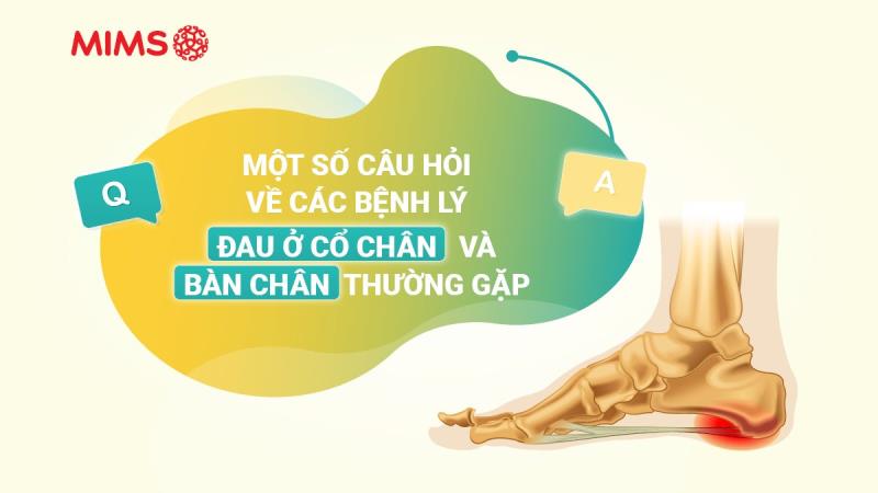 [Infographic] Một số câu hỏi thường gặp về các bệnh lý đau ở cổ chân và bàn chân