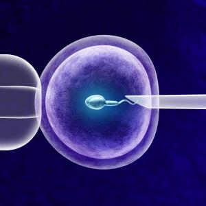 Medroxyprogesterone acetate a viable option for preventing ovulation during IVF