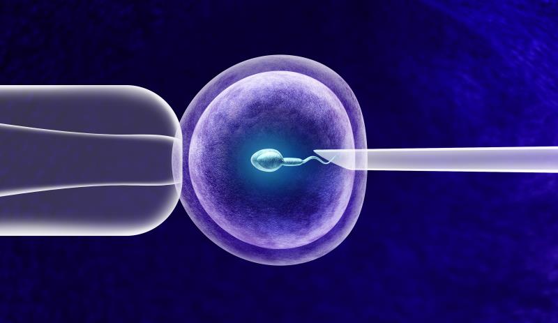 Medroxyprogesterone acetate a viable option for preventing ovulation during IVF