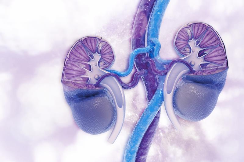 Renal mass biopsy mandate tied to fewer surgeries, greater surveillance