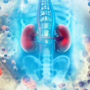 CD38 monoclonal antibody shows promise in kidney transplant rejection