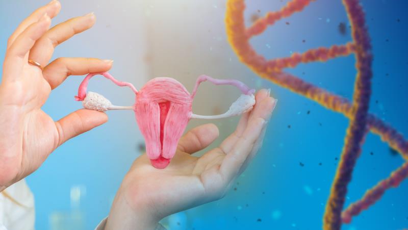 Short GnRH antagonist protocol in ART may reduce ovarian hyperstimulation risk