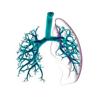 Sotorasib continues to impress at 2 years in KRAS G12C–mutant NSCLC