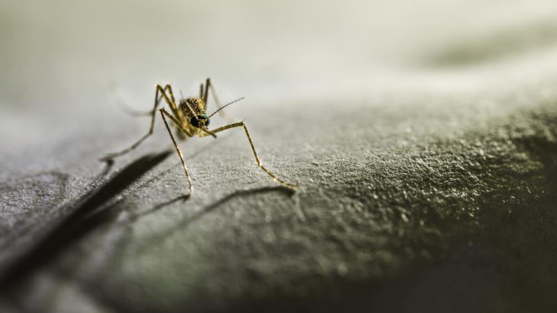 Regional variations in prevalence, hidden reservoir sustain malaria in Myanmar
