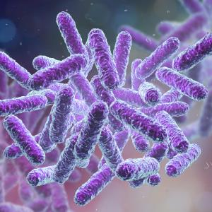 Tackling multidrug-resistant gram-negative bacterial infections in critically ill patients: Challenging the standard approach