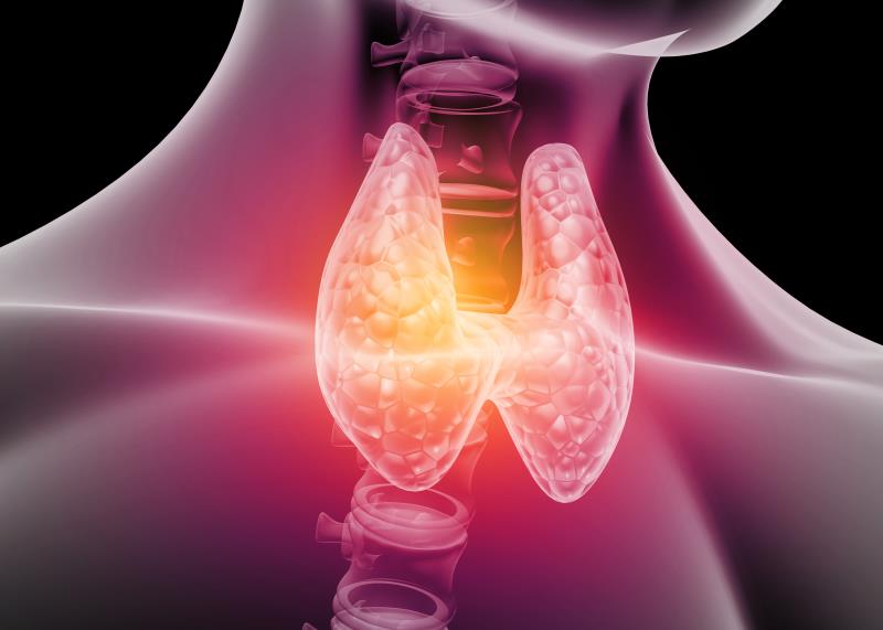 Impaired thyroid hormone sensitivity ups MACE risk in angiography patients