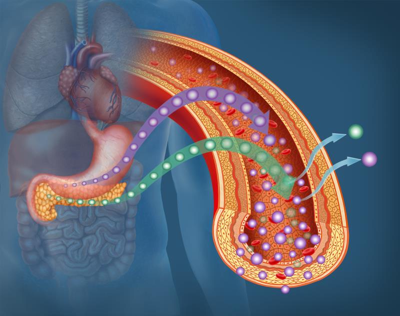 Triple-drug combo reduces HbA1c in T2D
