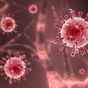 BCG vaccination at birth confers no benefit for COVID-19 in midlife