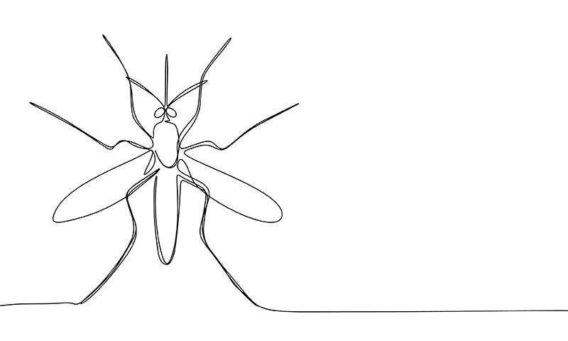 Releasing Wolbachia-infected male Aedes (A) aegypti mosquitoes were associated with a reduction in <a href="https://www.mims.