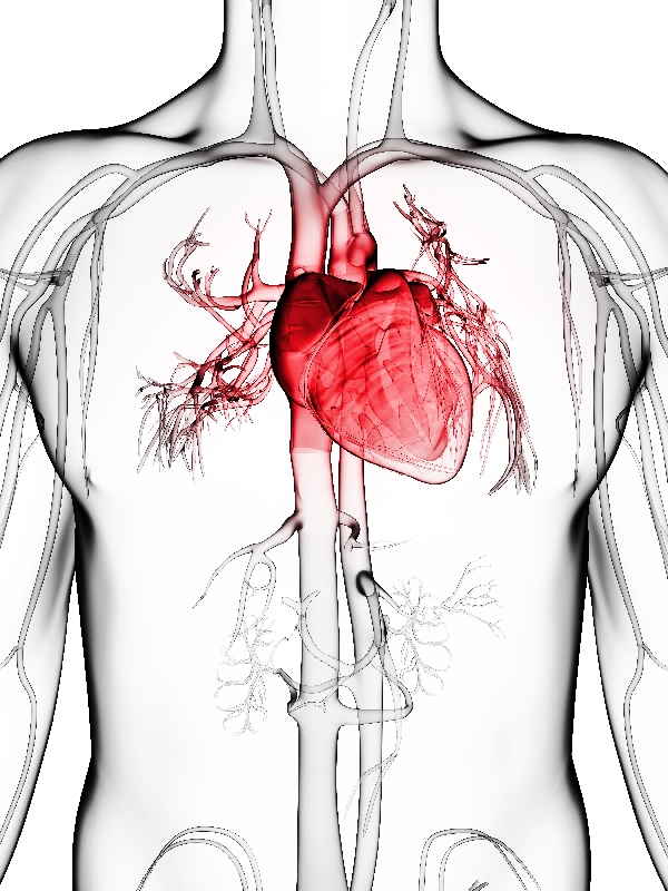 Heart Failure - Acute