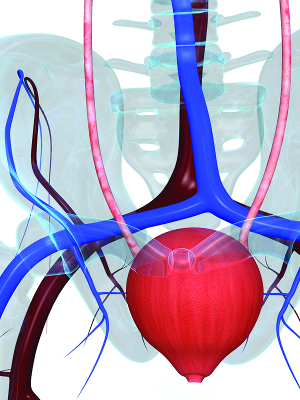 Overactive Bladder