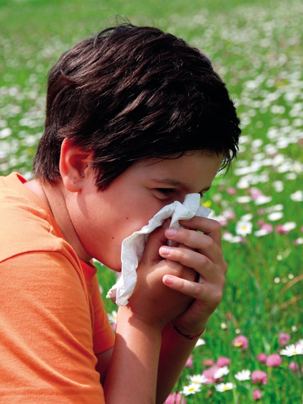 Rhinitis - Allergic (Pediatric)
