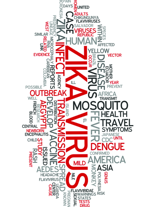 Zika Virus Infection