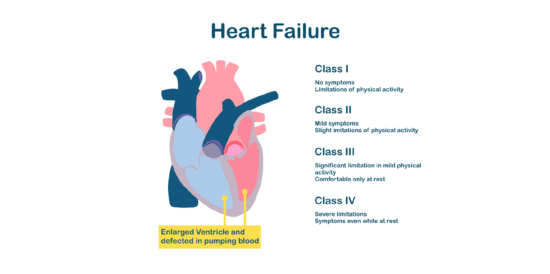 Heart Failure - Chronic_Disease Background